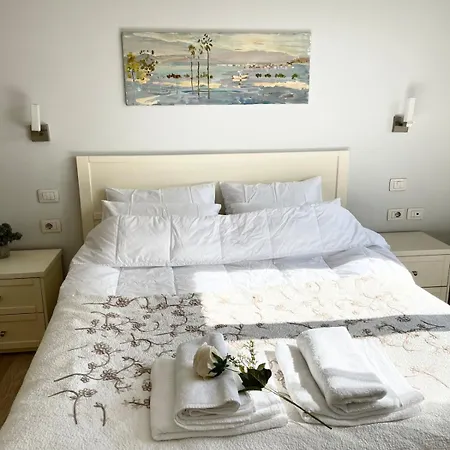 Capital ティラナ